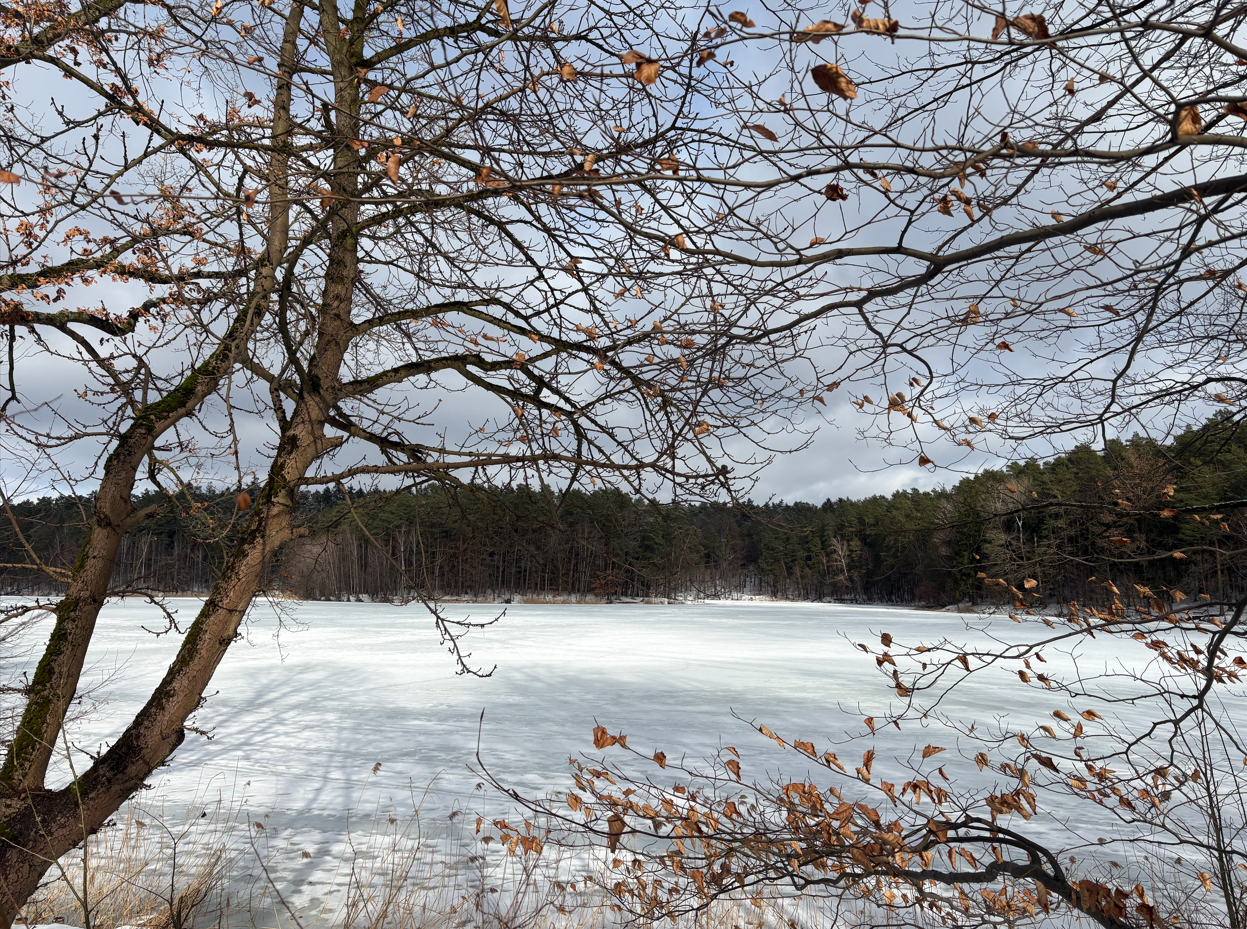 Field photograph 1